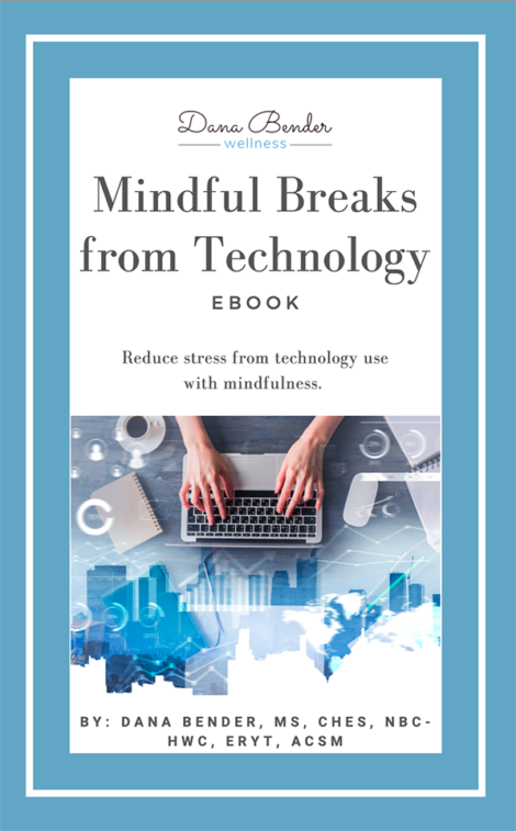 Mindful Breaks from Technology Ebook